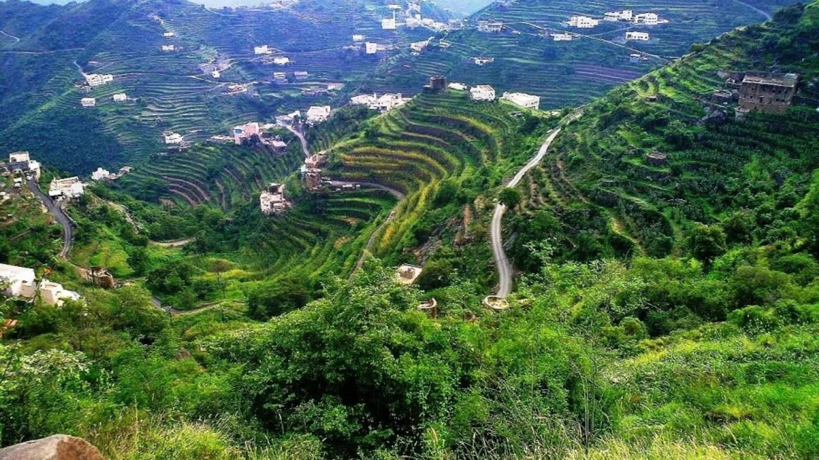 الجنوبية